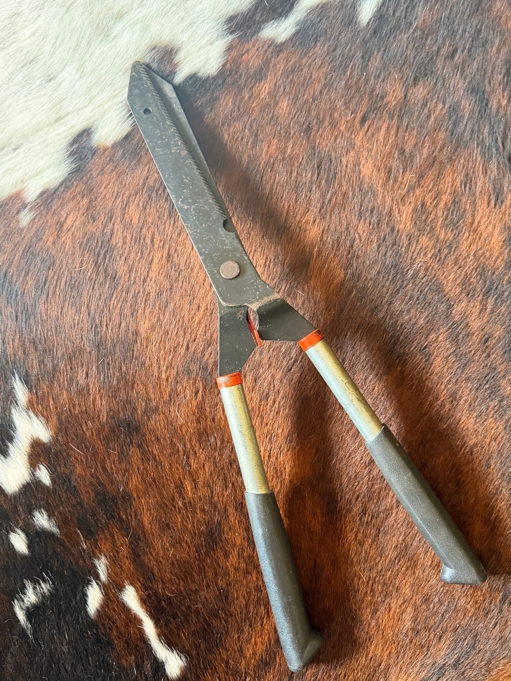 Shears